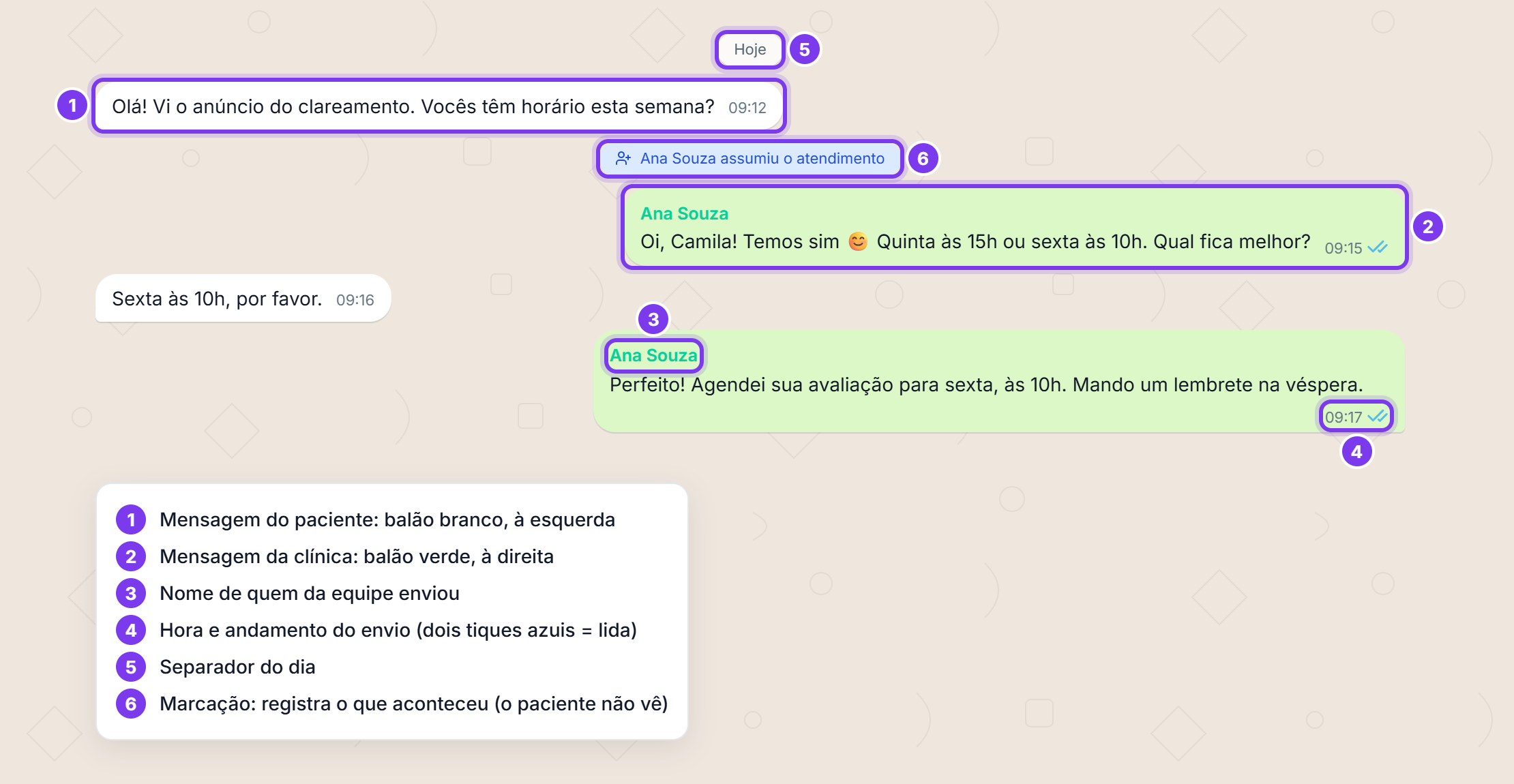Mensagens numeradas: 1 balão do paciente, 2 balão da clínica, 3 nome de quem enviou, 4 hora e tiques, 5 separador do dia, 6 marcação